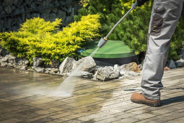 Professional  Pressure Washing Services in Rising Sun, MD